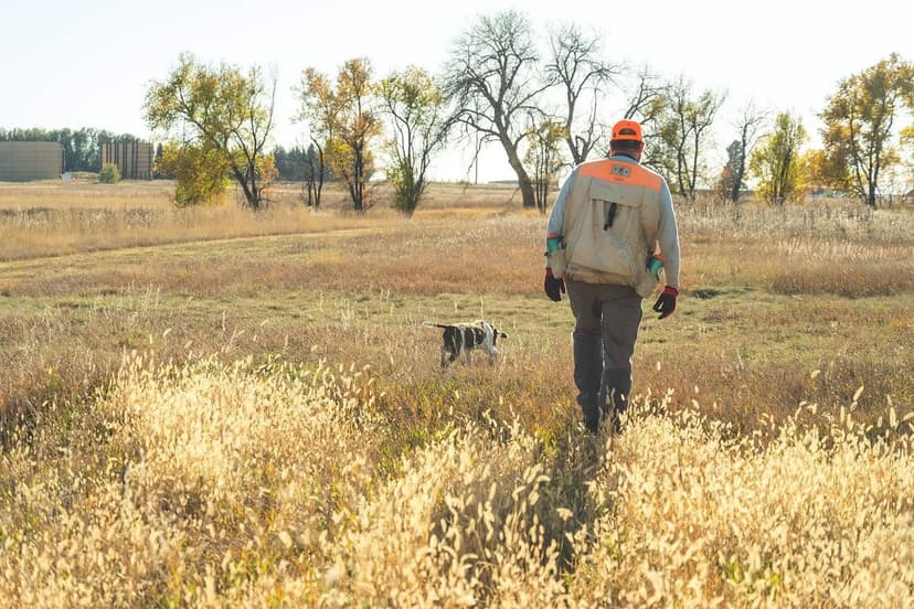 Stillroven Farm Pheasant & Kennel Club