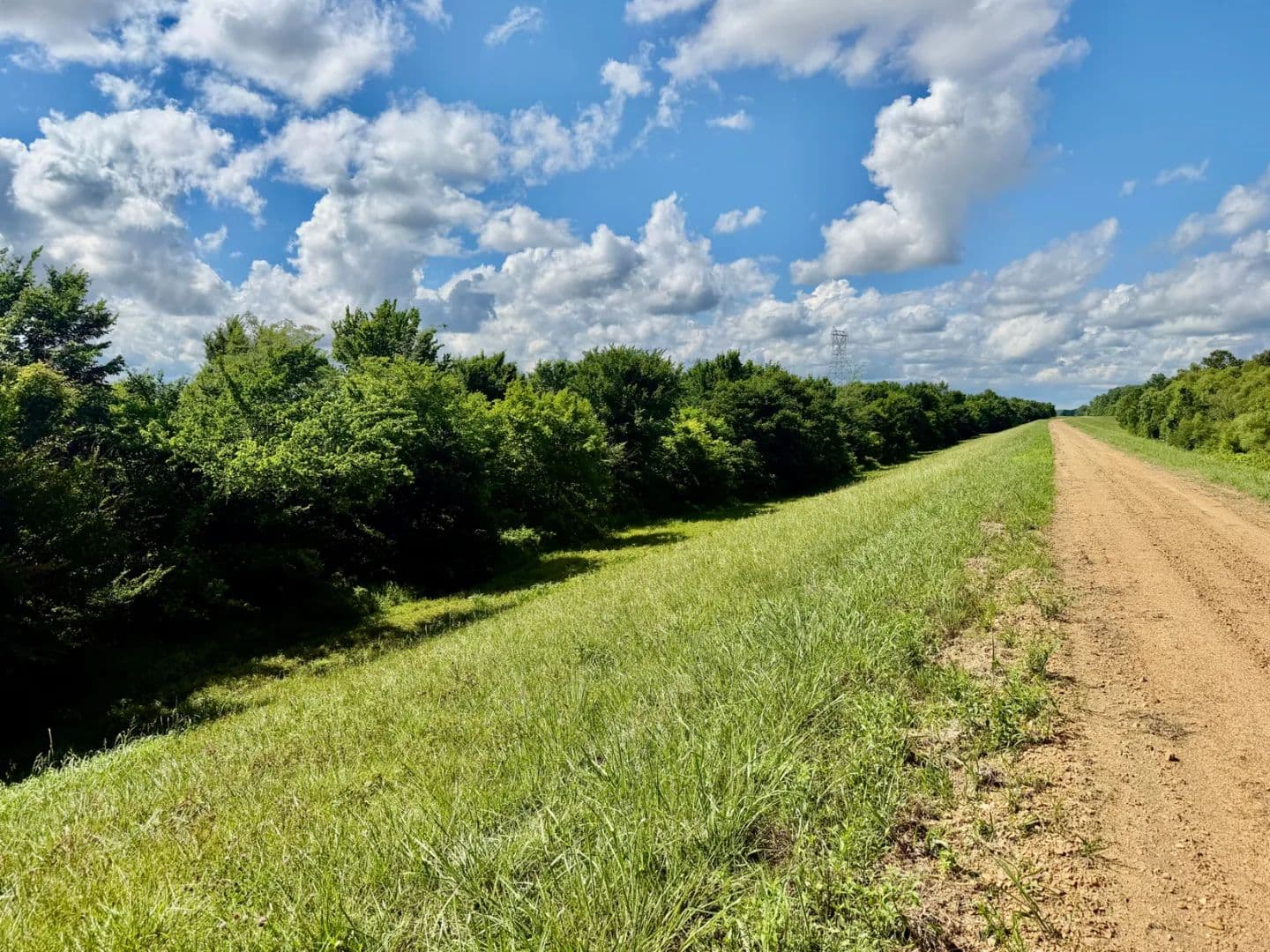 52.5 Acres in Quitman County in Sledge, MS - Sledge, Mississippi, 38670
