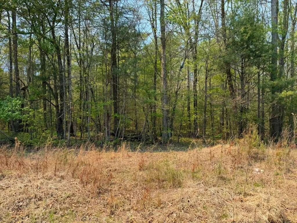 45.5 Acres of Land for Sale in Tellico Plains, Tennessee - Tellico Plains, Tennessee, 37385