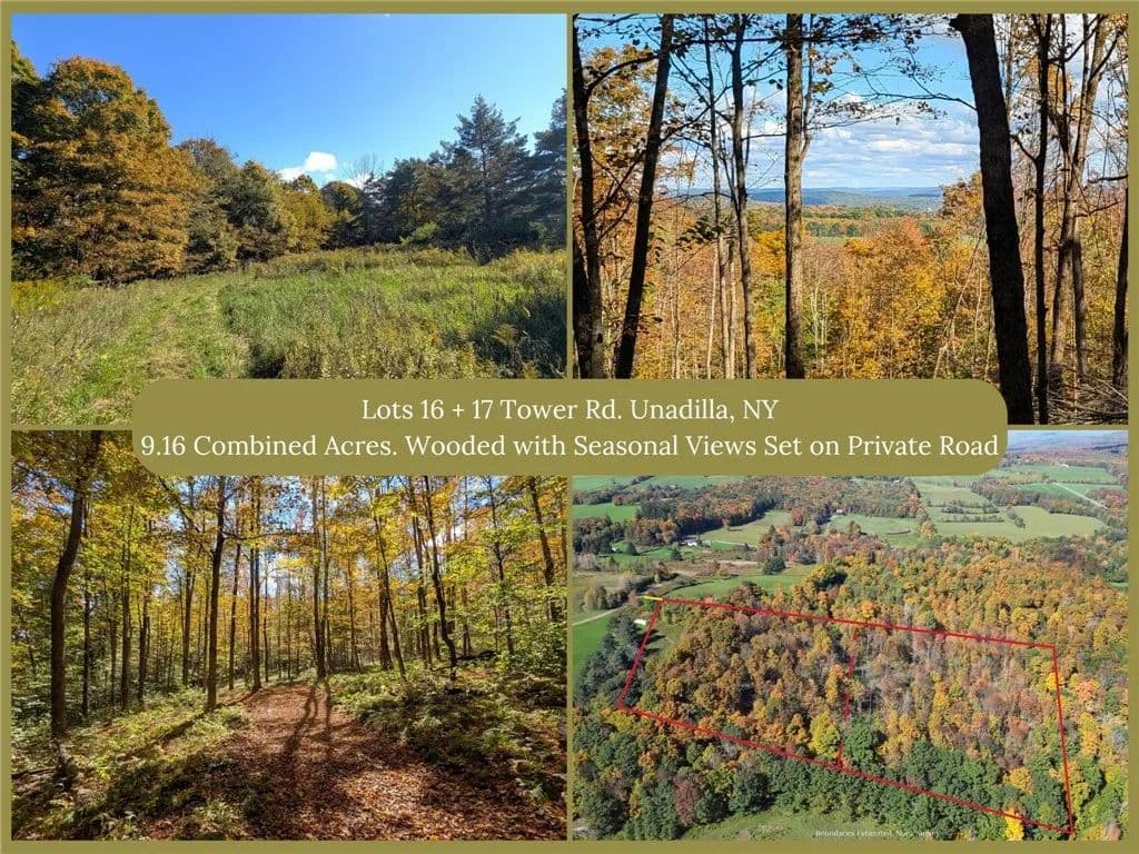 9.16 Acres of Land for Sale in Unadilla, NY - Unadilla, New York, 13849
