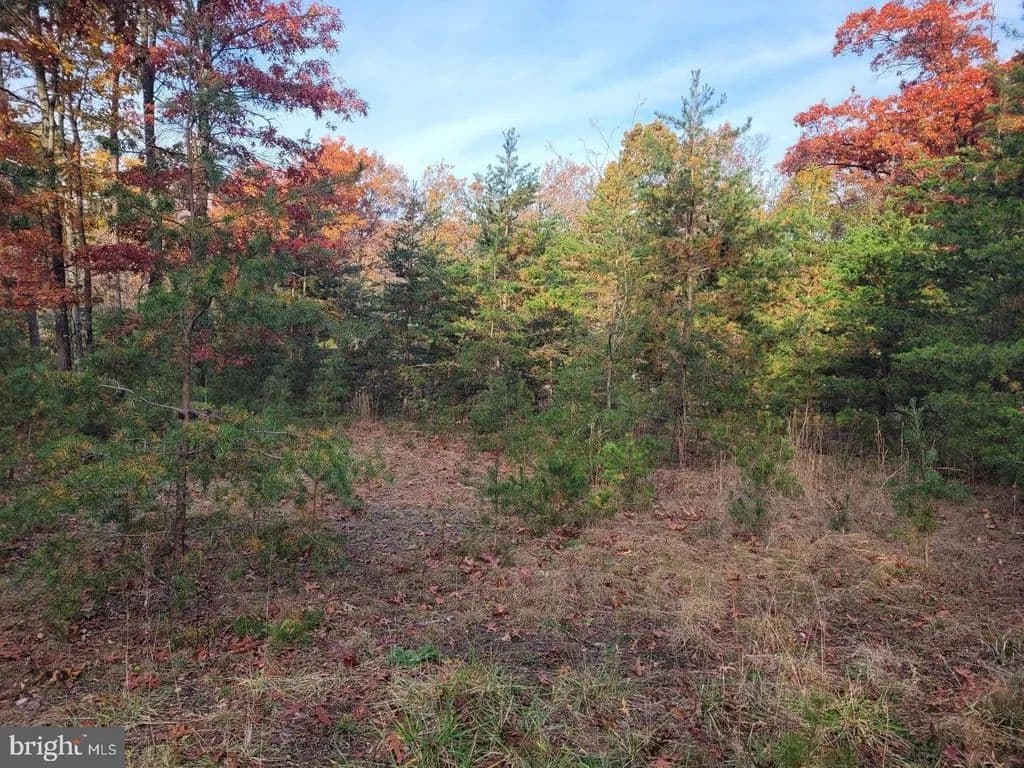 5 Acres of Land for Sale in Paw Paw, West Virginia - Paw Paw, West Virginia, 25434