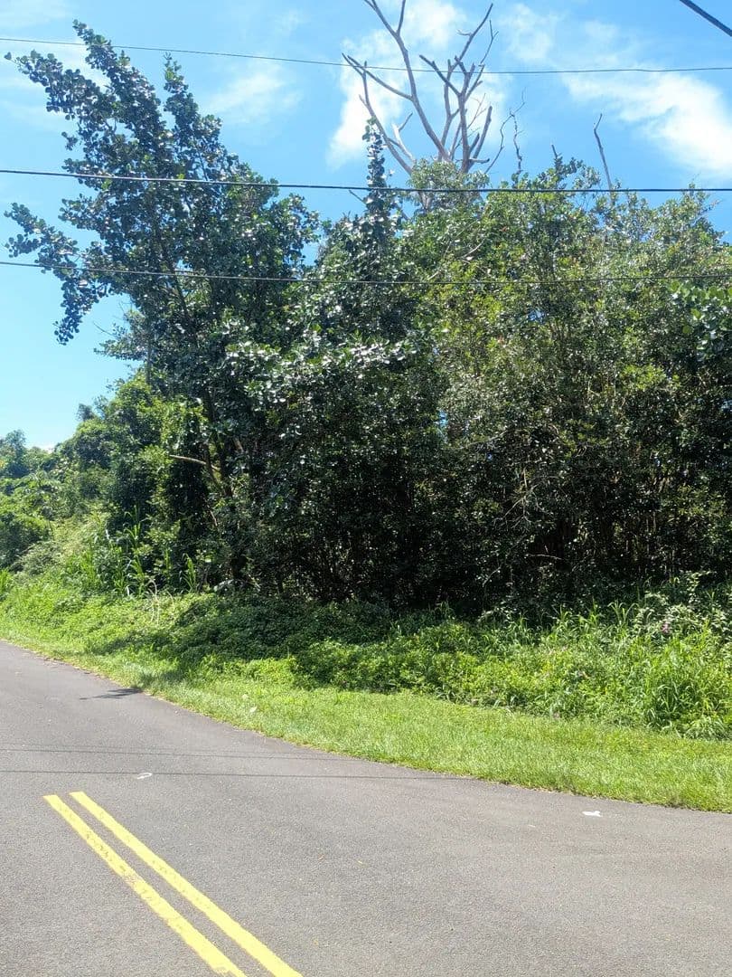 0.35 Acres of Land for Sale in Pahoa, Hawaii - Pahoa, Hawaii, 96778