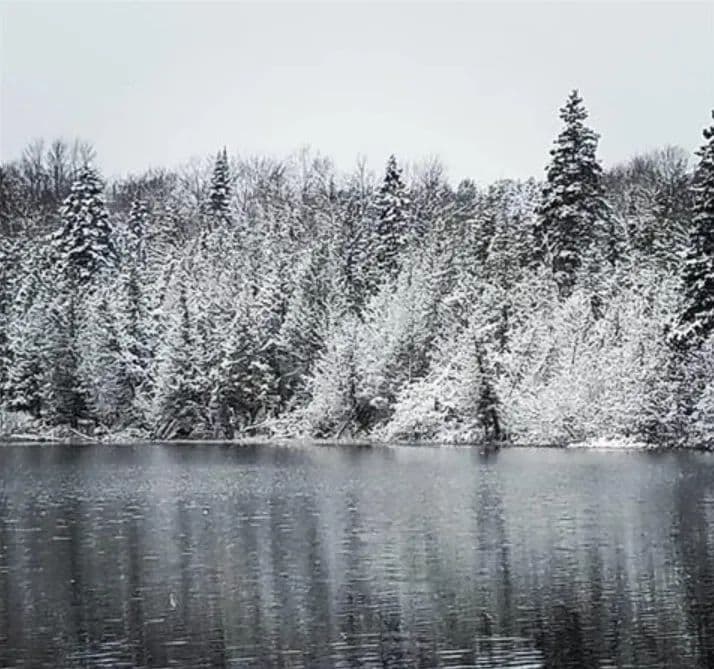 45 Acres on the Tahquamenon River 50196261