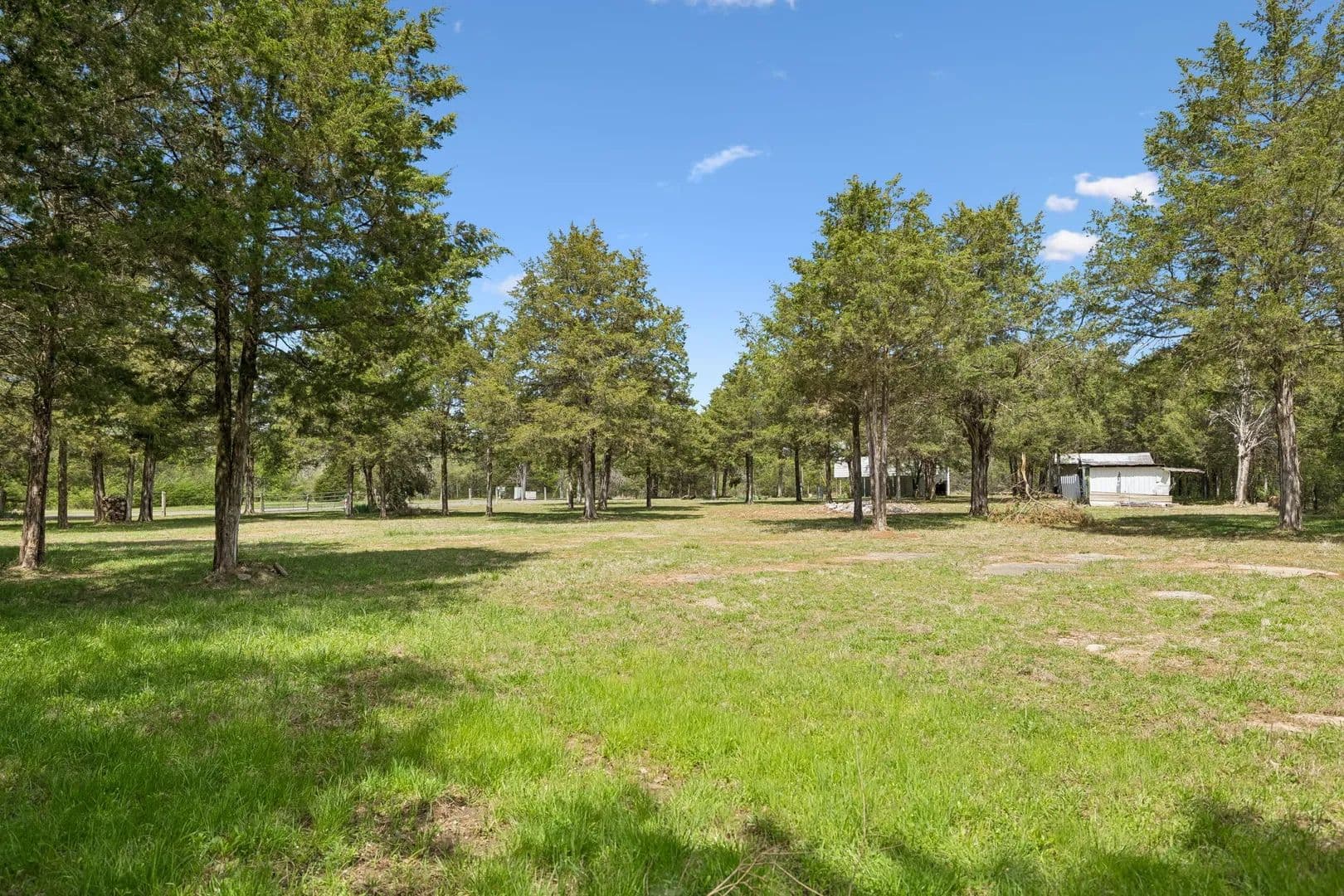 Property from 160 Osteen Ln - KW - Chapel Hill, Tennessee, 37034