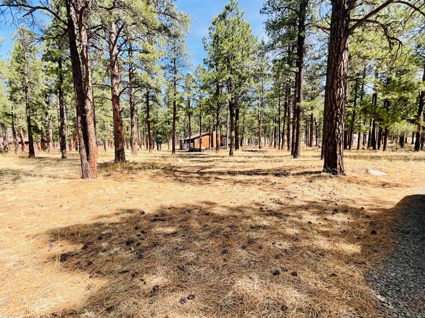TBD Stonewall Country Club BLK 4 LOT 6, Stonewall, CO 81091 - Stonewall, Colorado, 81091