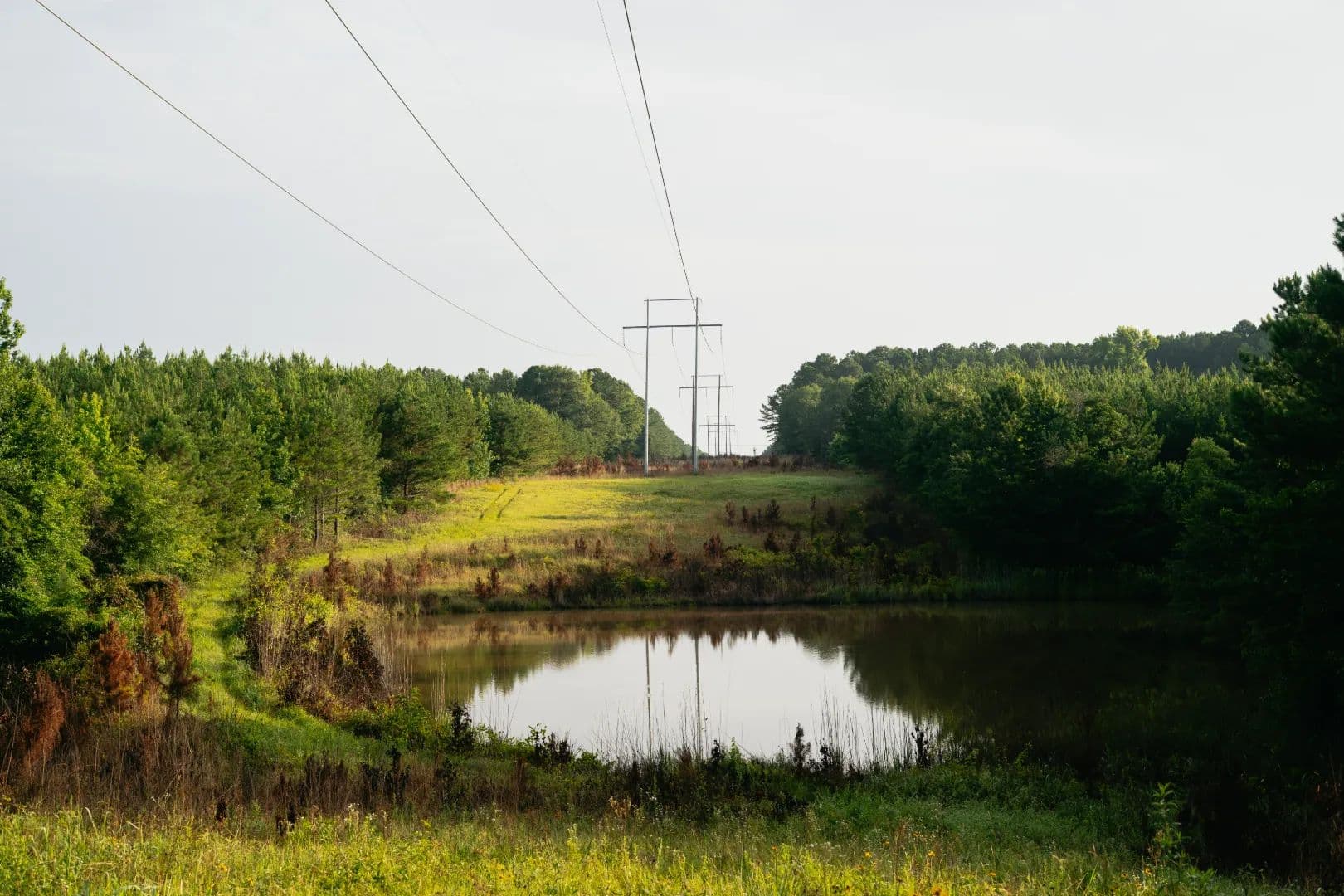 77 Acres in Neshoba County, MS - Philadelphia, Mississippi, 39350