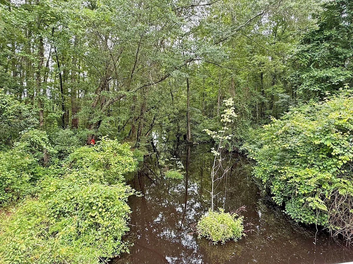 Creekside Hunting and Fishing Land - land for sale