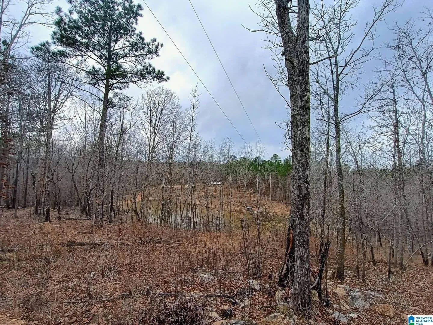 20 Acres of Land for Sale in KELLYTON, AL - Kellyton, Alabama, 35089