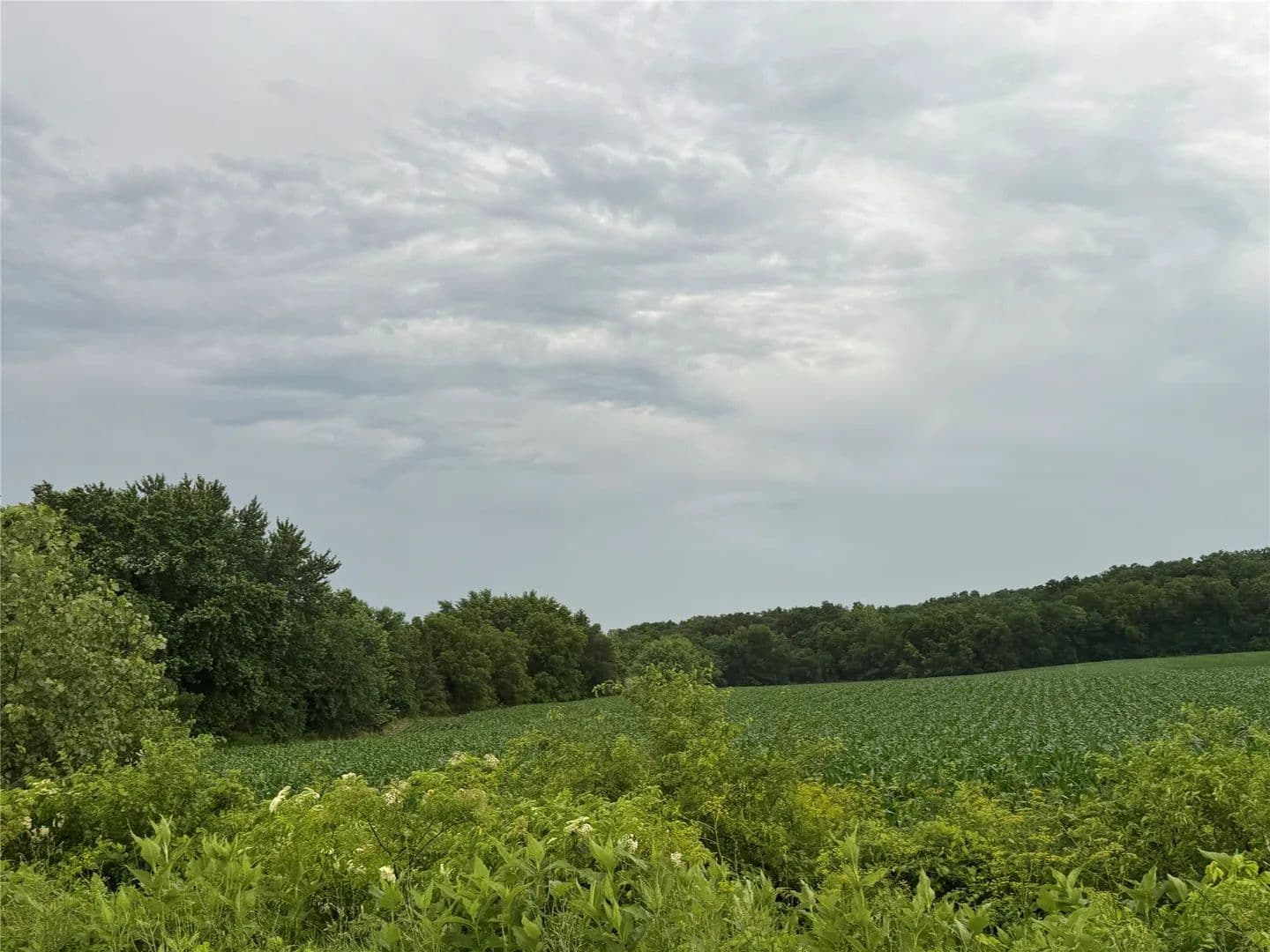 35 Acres of Land for Sale in Grand River, Iowa - Grand River, Iowa, 50144