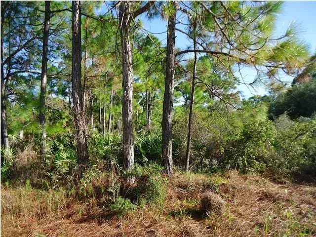 Property from 1012 Porter St - KW - , Florida, 32328