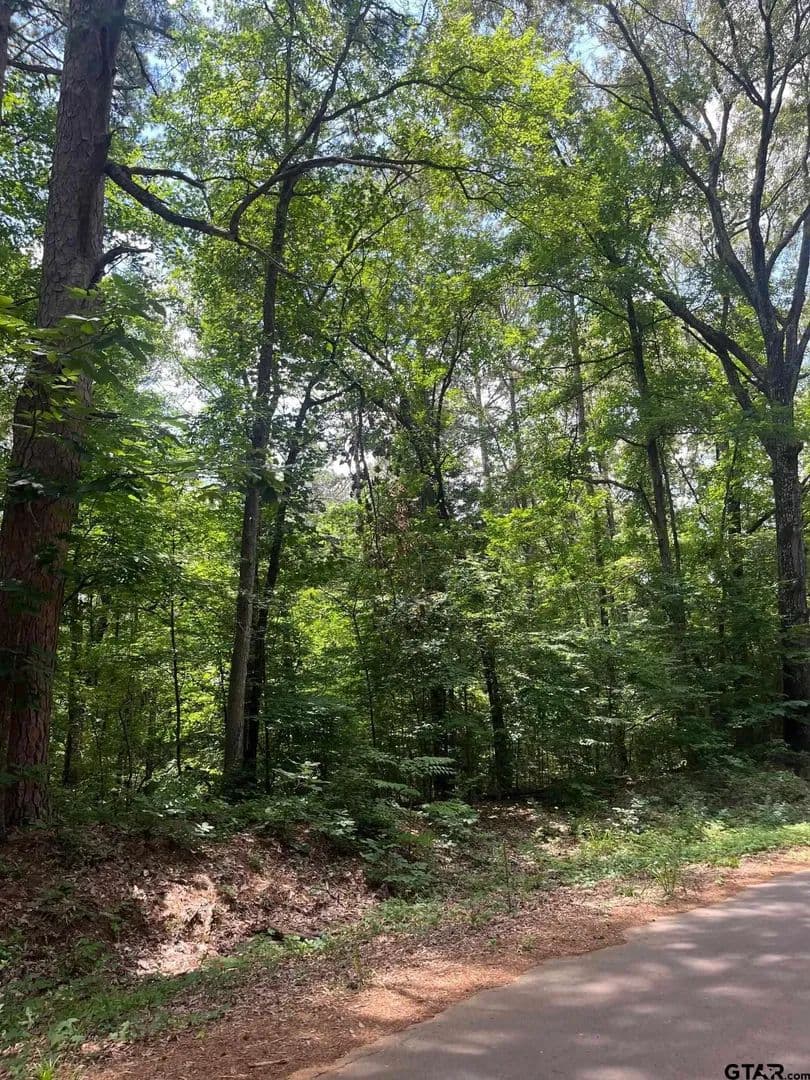 Property from Cr 2310 #Cr 2310 - KW - Rusk, Texas, 75785