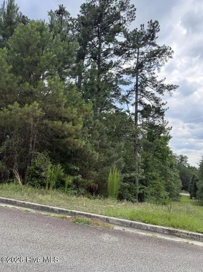 Property from 3946 Carolyn Street - KW - Augusta, Georgia, 30909