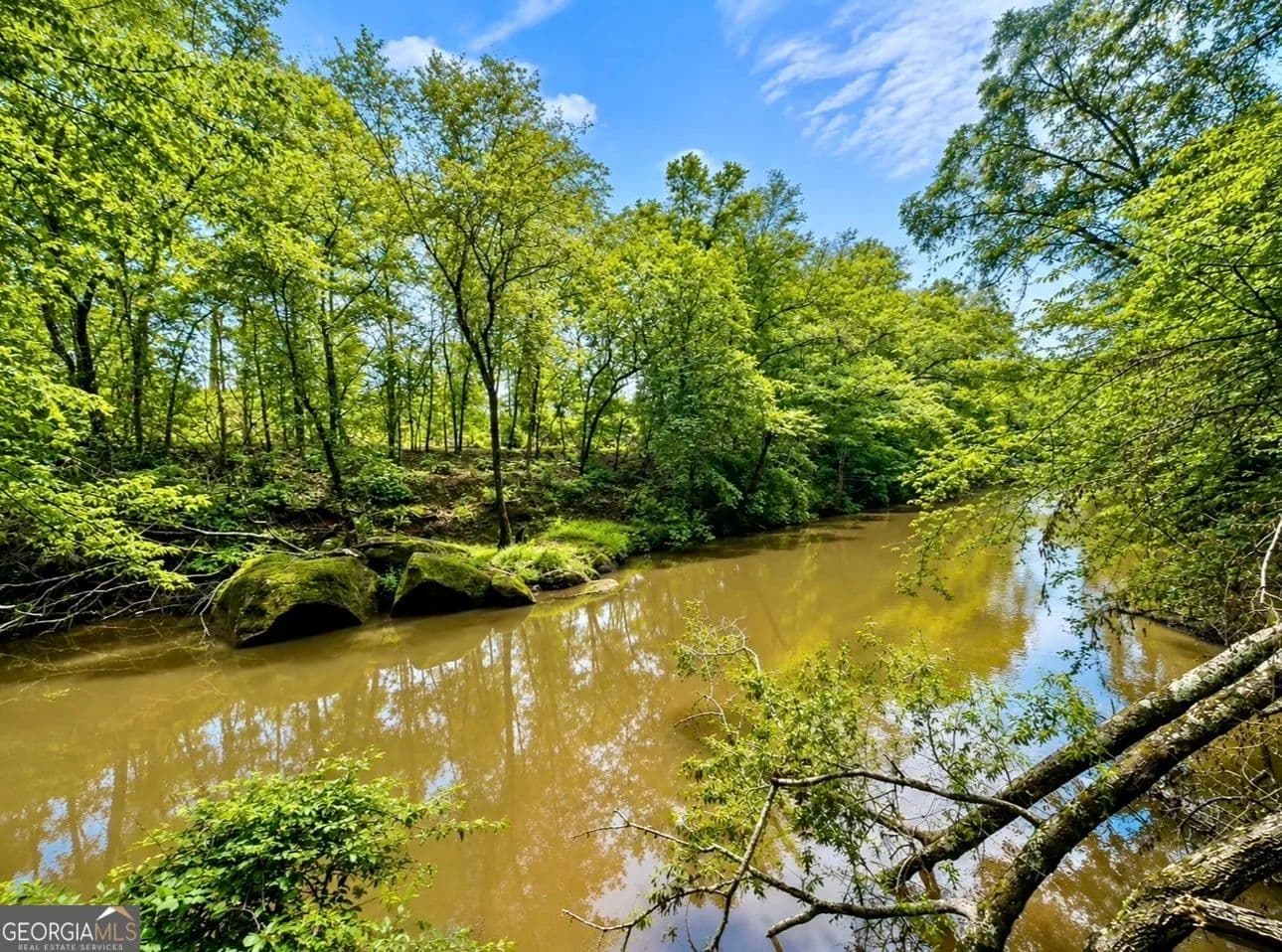 20.27 Acres of Land for Sale in Thomaston, Georgia - Thomaston, Georgia, 30286