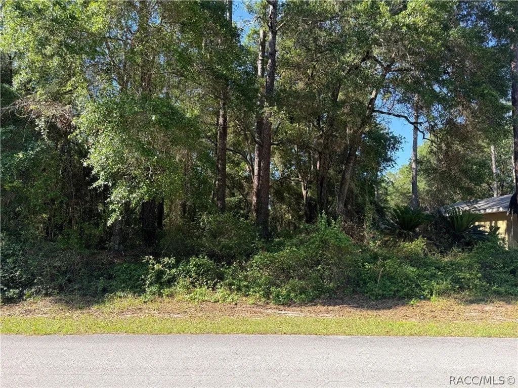 Lots & Land-Other in Citrus Springs - Citrus Springs, Florida, 34434