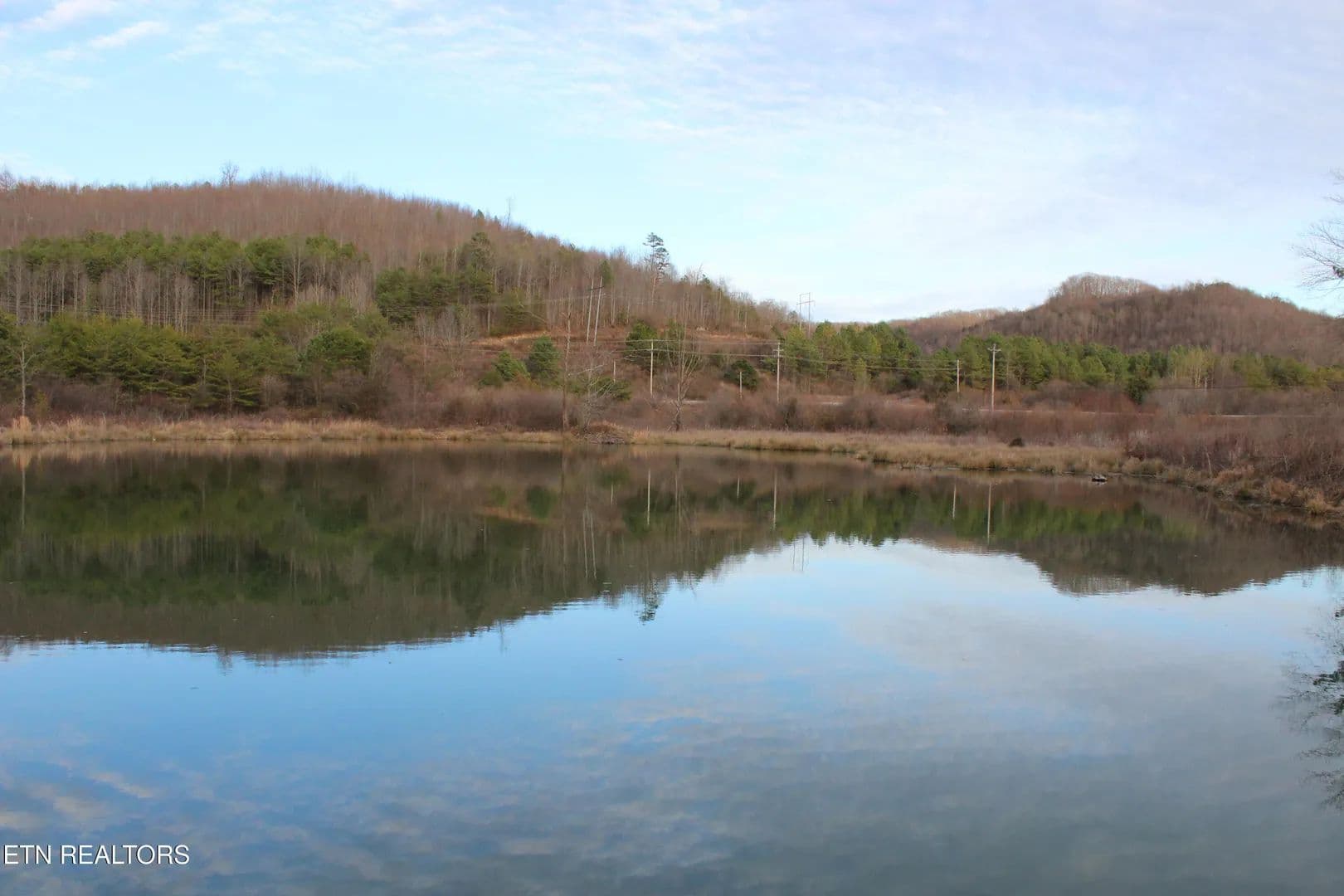 39.66 Acres of Land for Sale in Duff, Tennessee - Duff, Tennessee, 37729