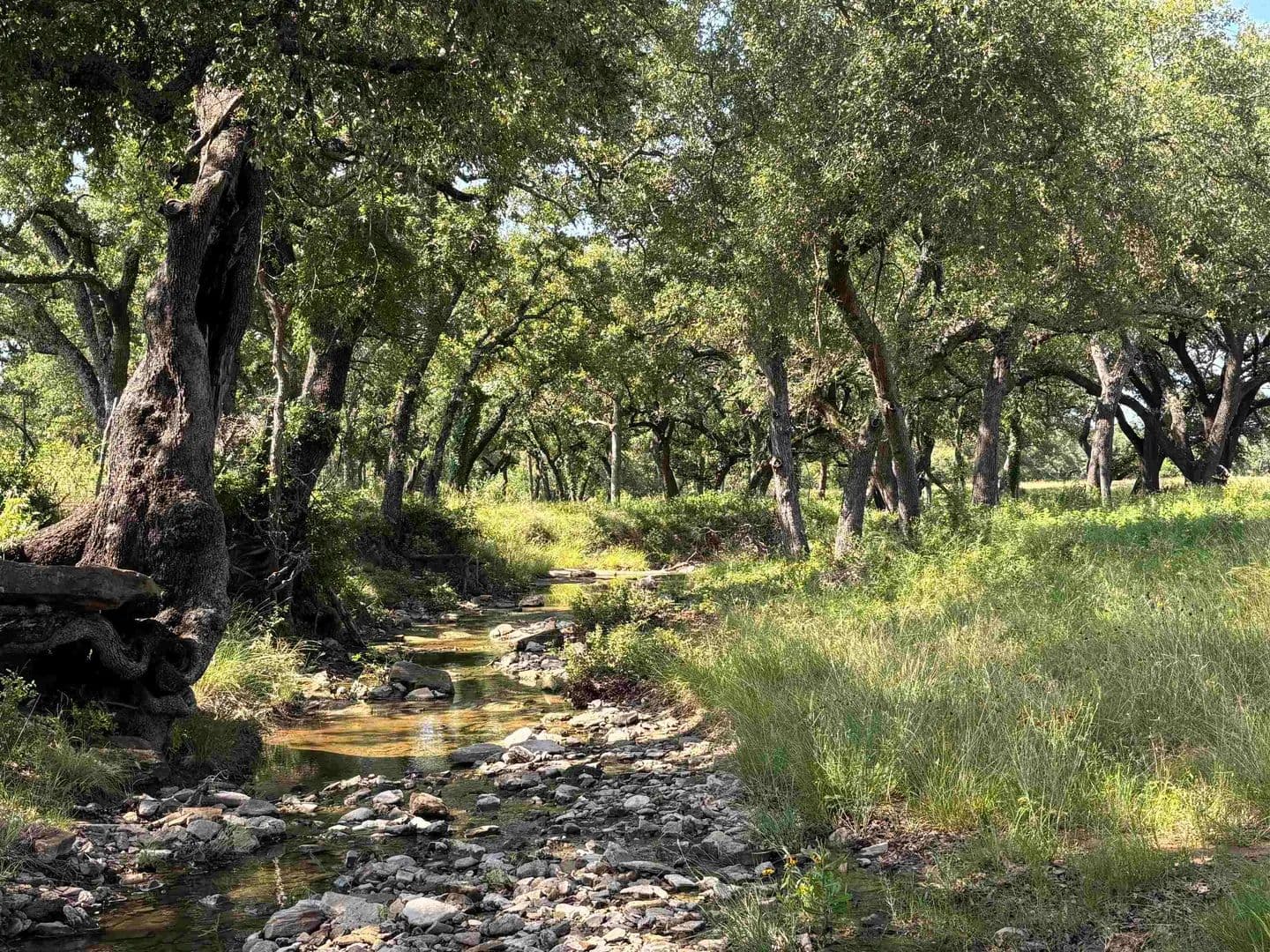 400 Acres of Land for Sale in Cherokee, Texas - Cherokee, Texas, 76832