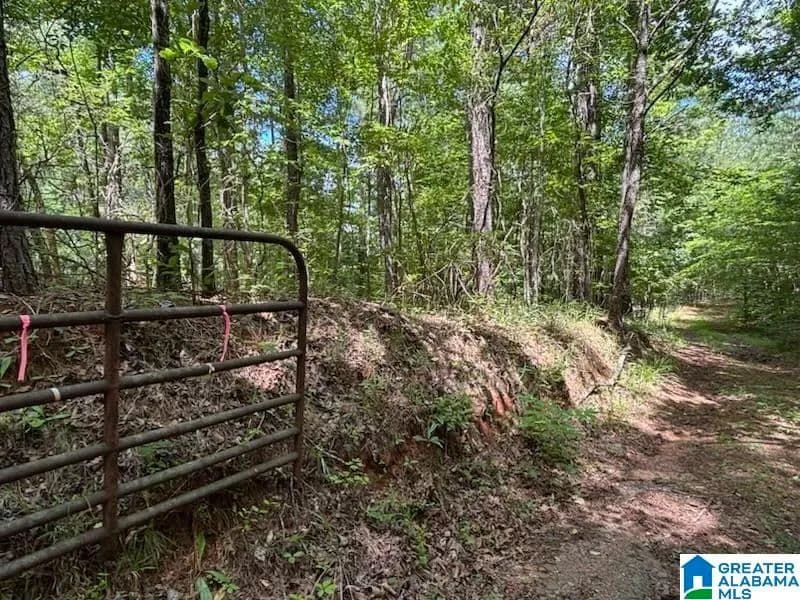 69.85 Acres of Land for Sale in Rockford, Alabama - Rockford, Alabama, 35136