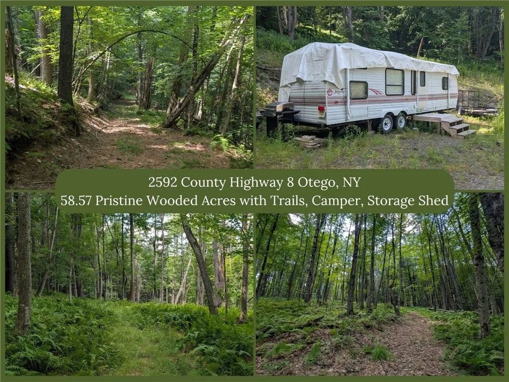 58.57 Acres of Land for Sale in Otego, NY - Otego, New York, 13825