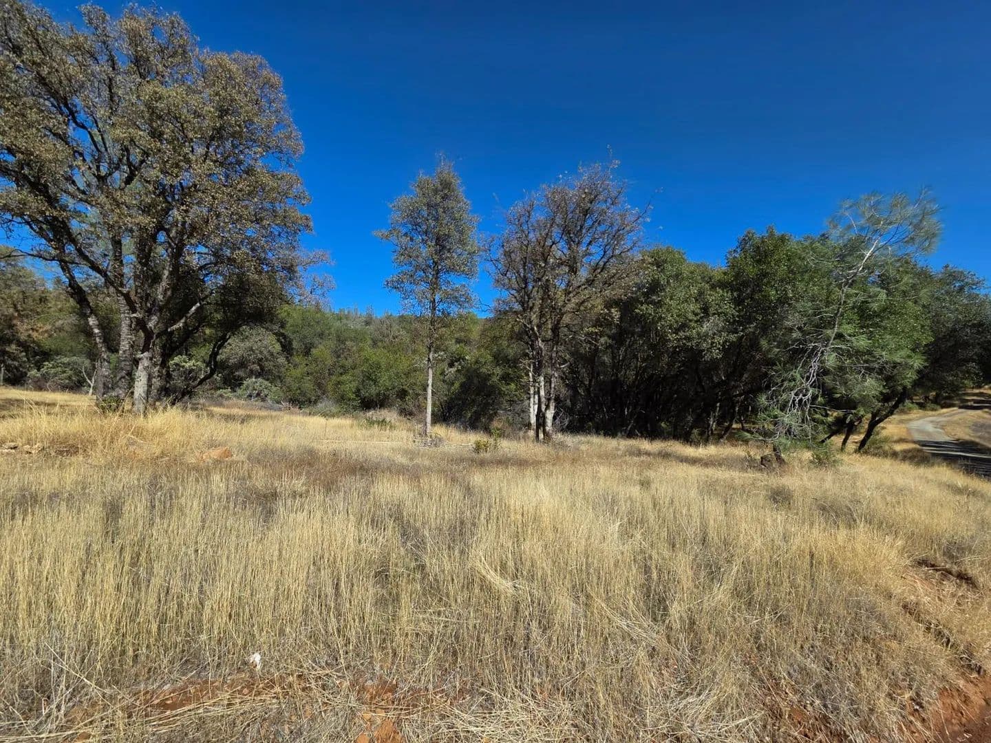 Property from 11465 Rex Reservoir Road - KW - Rough And Ready, California, 95975