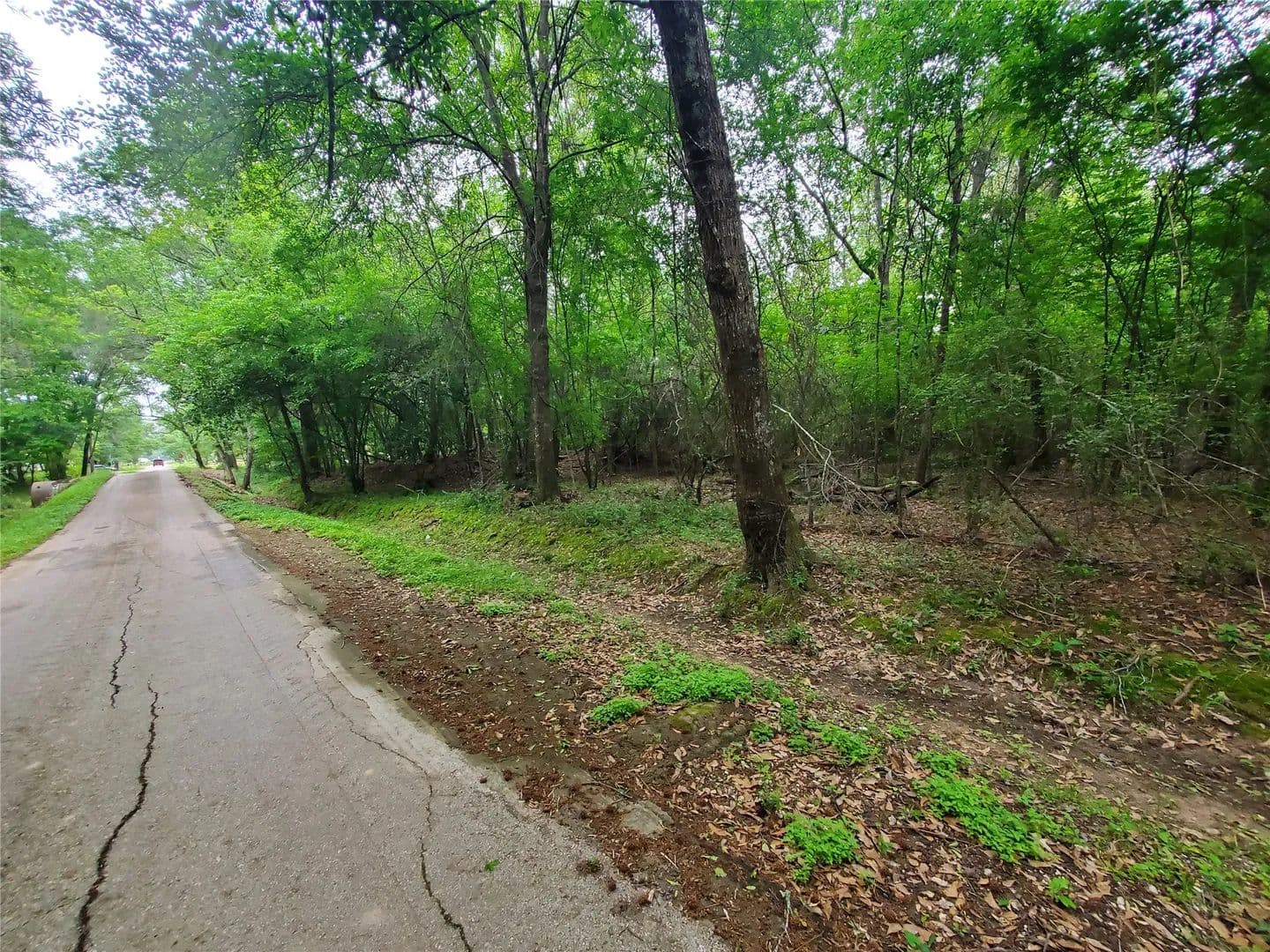Property from 246 countyroad 3990 - KW - Cleveland, Texas, 77328
