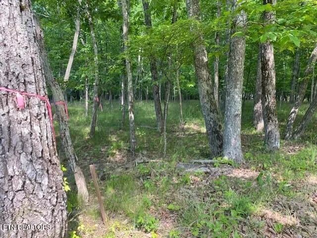 Lots & Land-Other in Crossville - Crossville, Tennessee, 38558