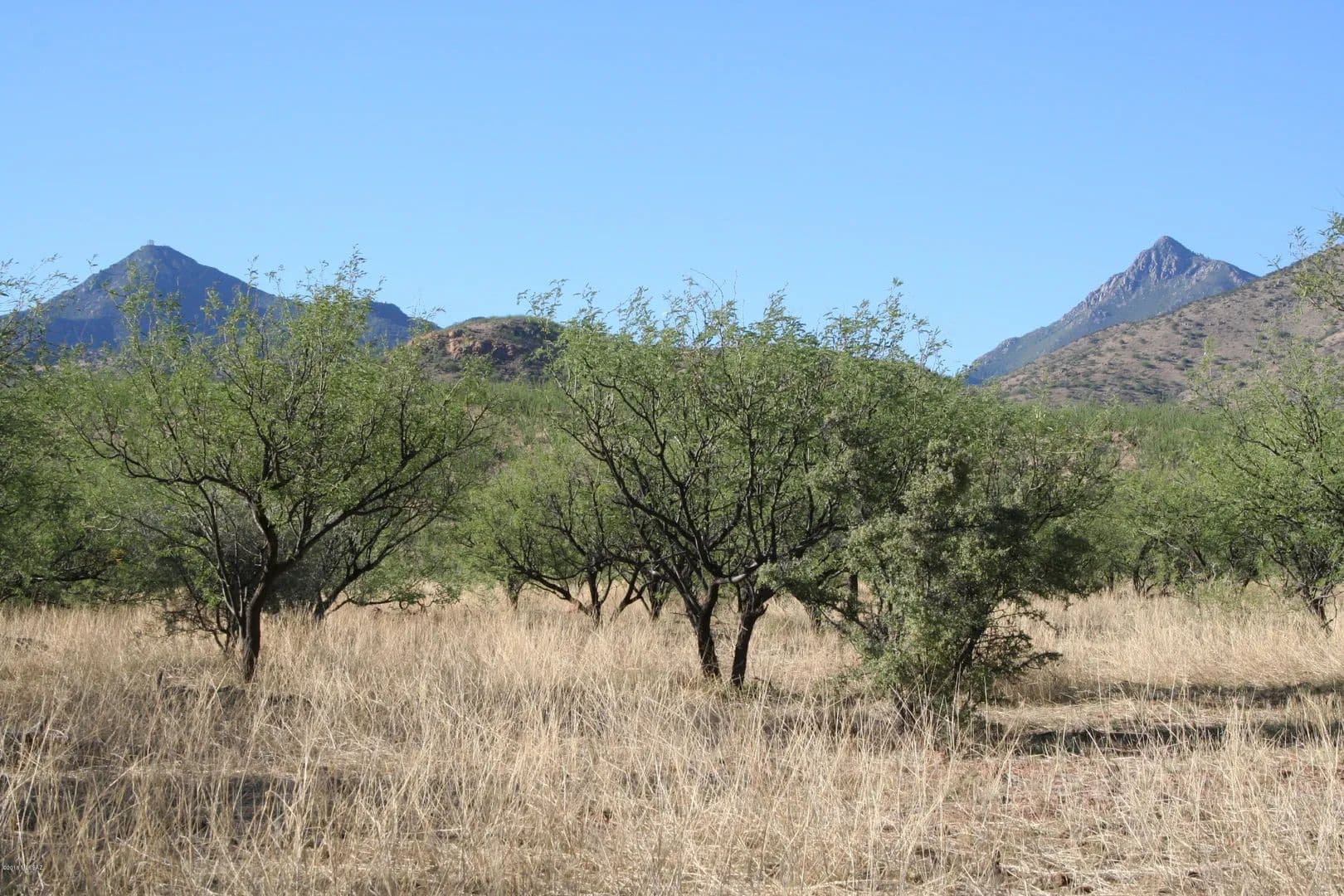 Property from 000 Bond Canyon Road #63 - KW - Tubac, Arizona, 85646
