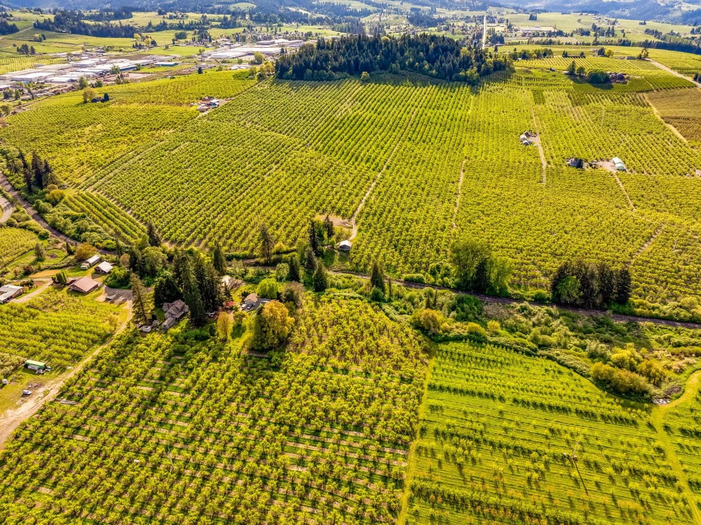 Scenic Hood River Valley Orchard - Hood River, Oregon, 97031