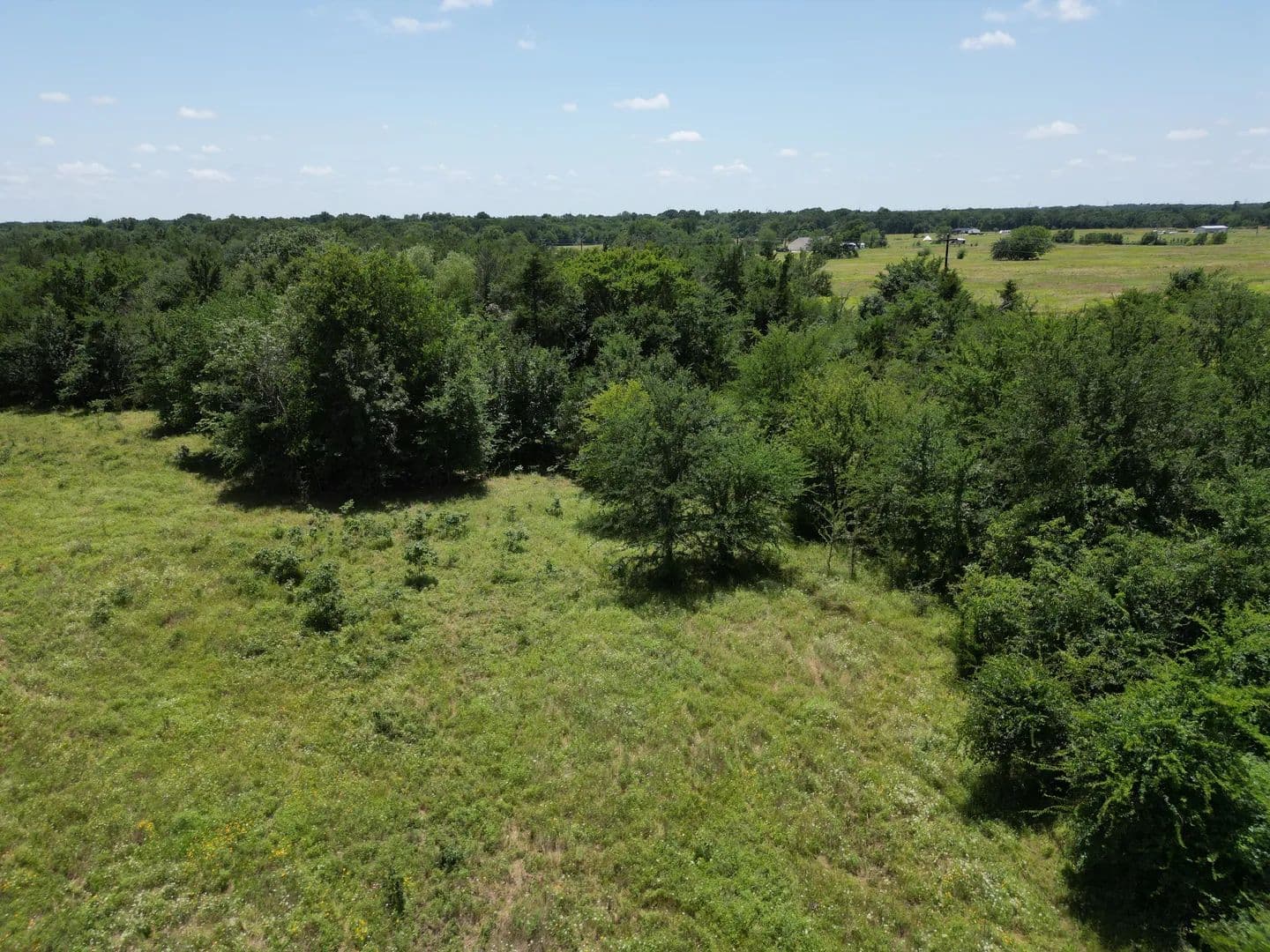 Land -Single Family Acreage in Sulphur Springs - land for sale
