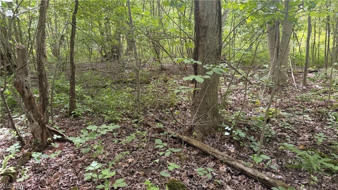 5.76 Acres of Land for Sale in Geneva, OH - Geneva, Ohio, 44041