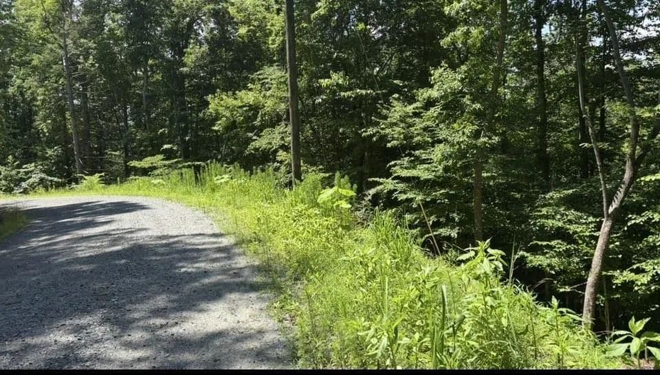 Property from LOT 780 Omen Circle - KW - land for sale