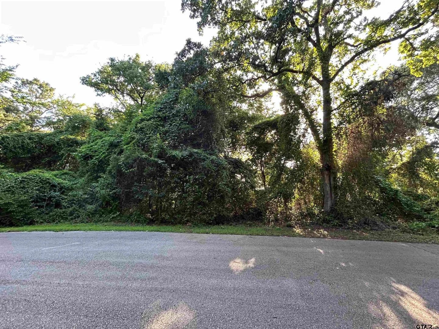 0.25 Acres of Land for Sale in Flint, Texas - Flint, Texas, 75762