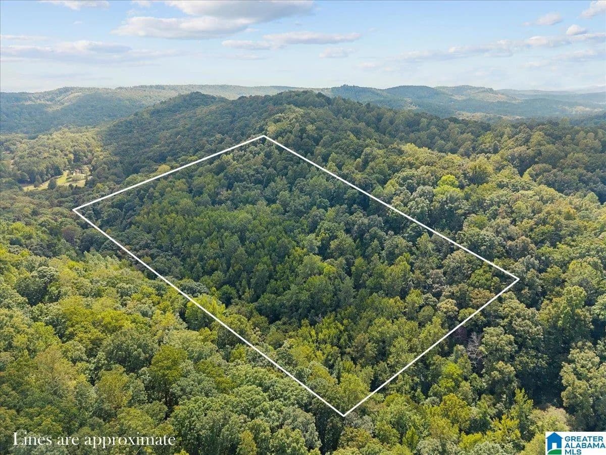 20 Acres of Land for Sale in SPRINGVILLE, AL - Springville, Alabama, 35146