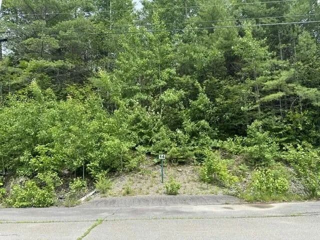 Land -Single Family Acreage in Orono - Orono, Maine, 04473