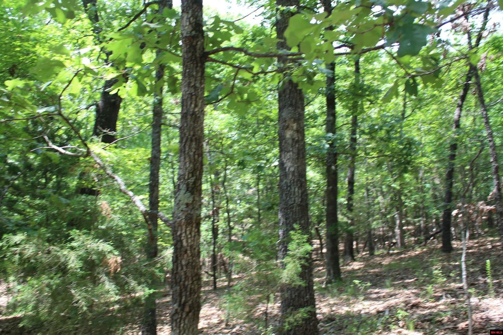 Property from Lot 9B COUNTRY CLUB DRIVE - KW - Theodosia, Missouri, 65761