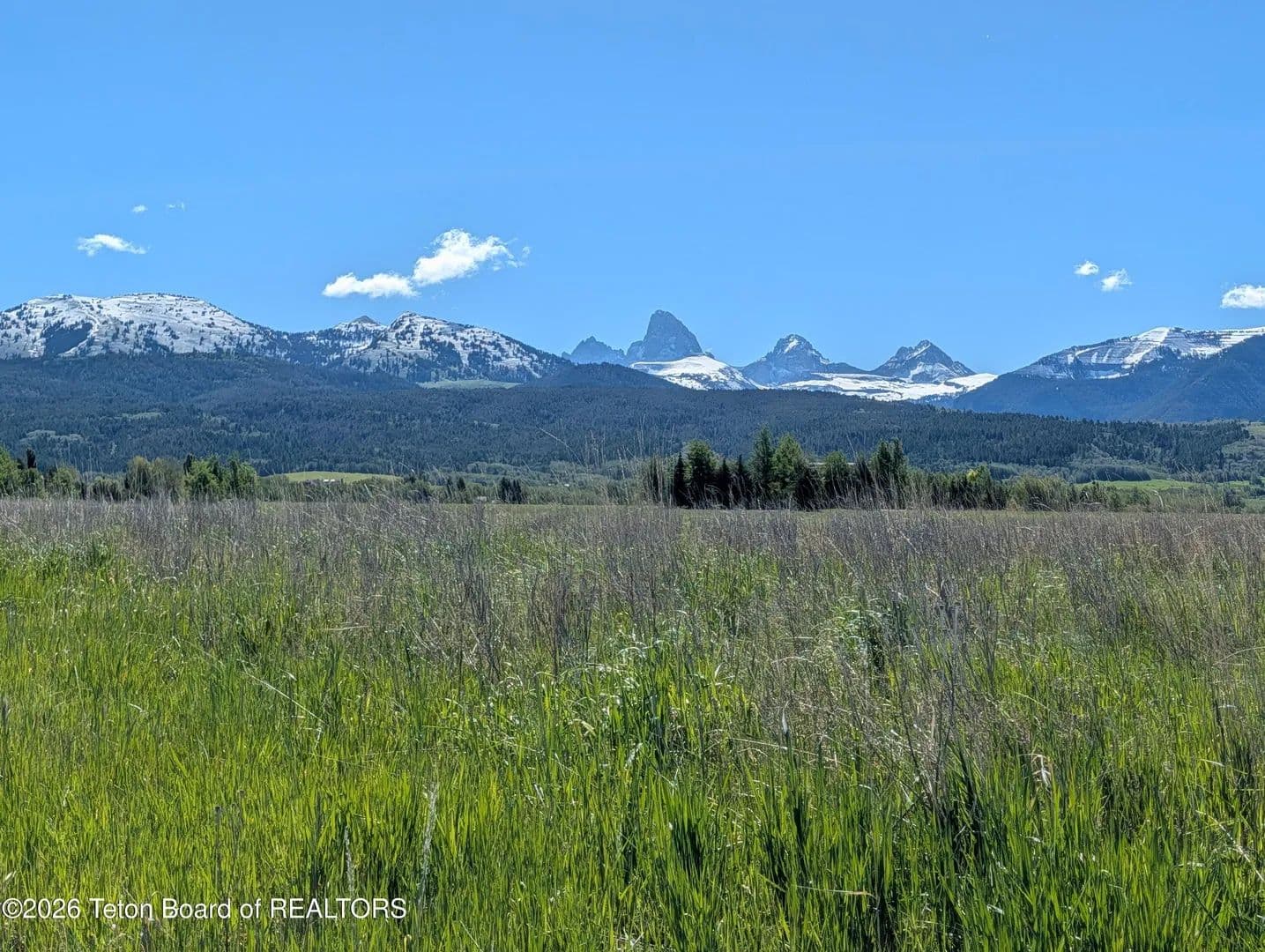Property from 2455 SNOW CREST Drive - KW - Driggs, Idaho, 83452
