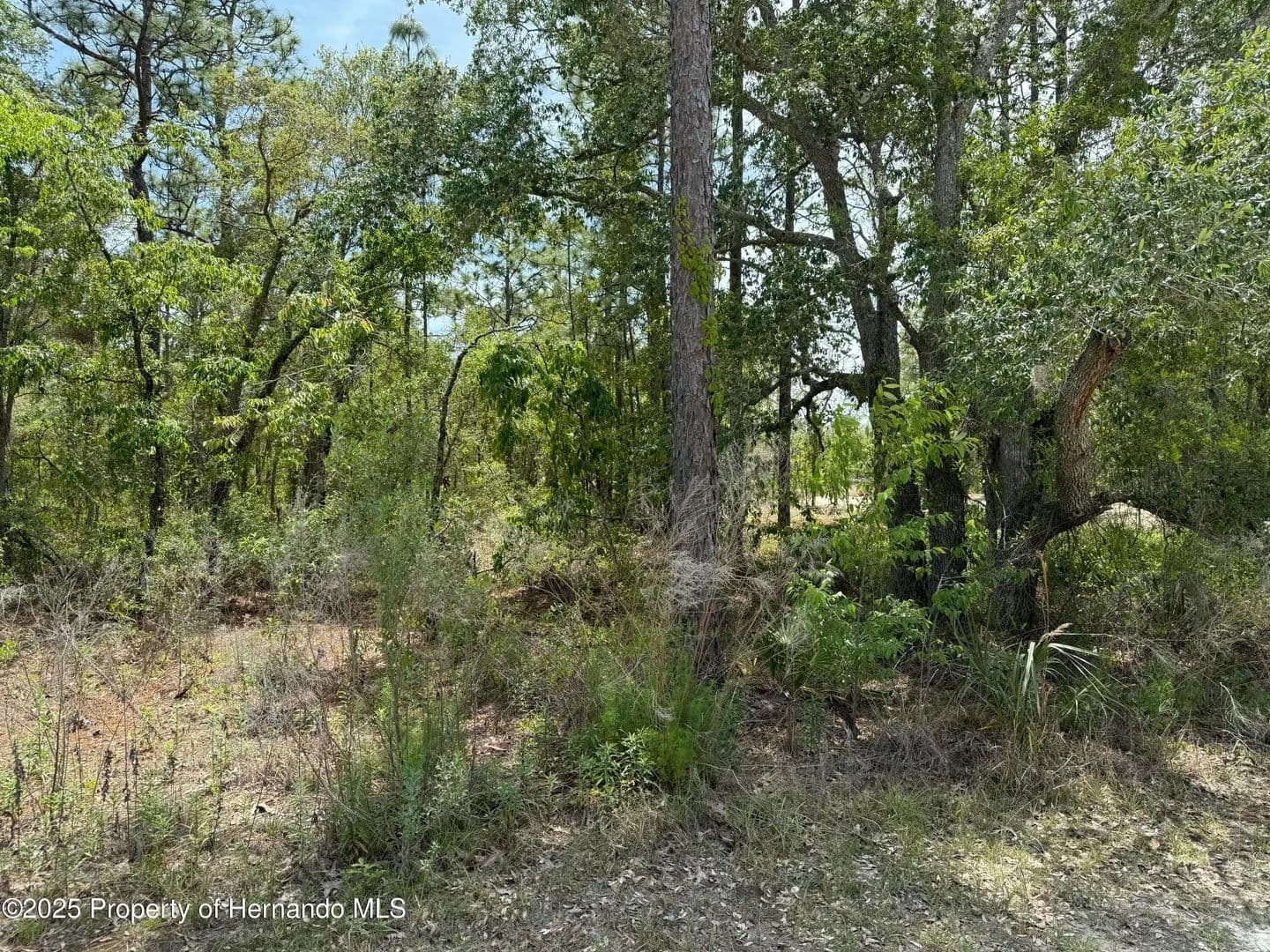 Property from 00 Snow Goose Avenue - KW - Weeki Wachee, Florida, 34614