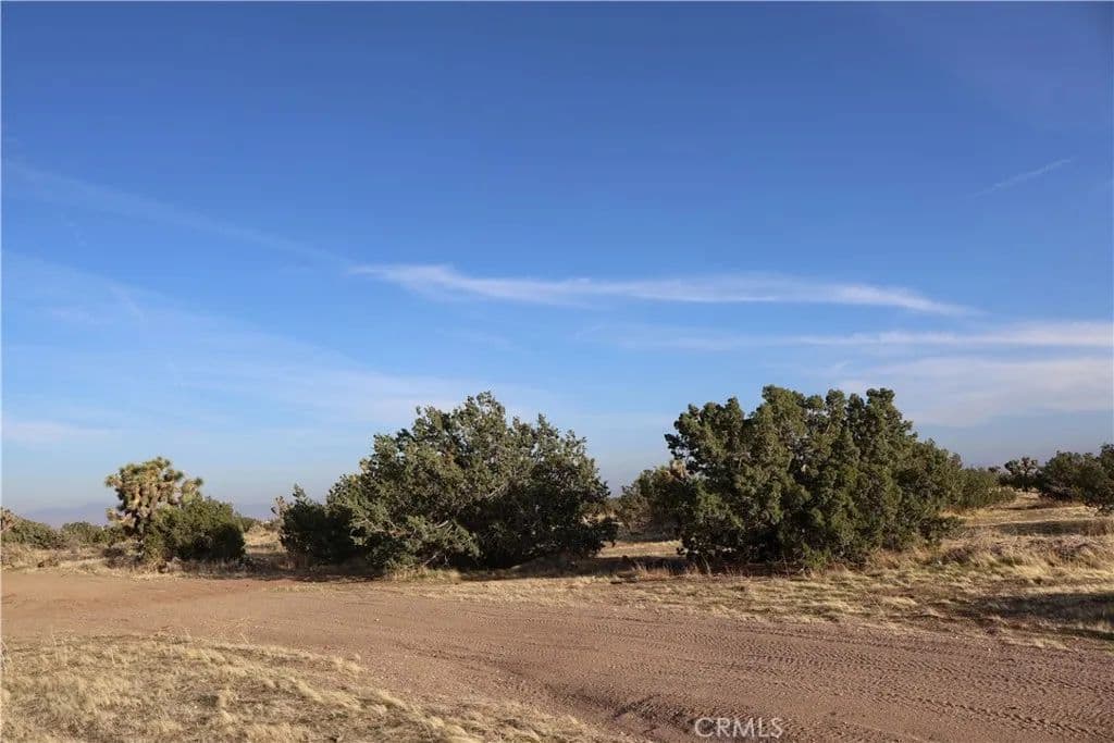 Vacant Land in Hesperia - land for sale
