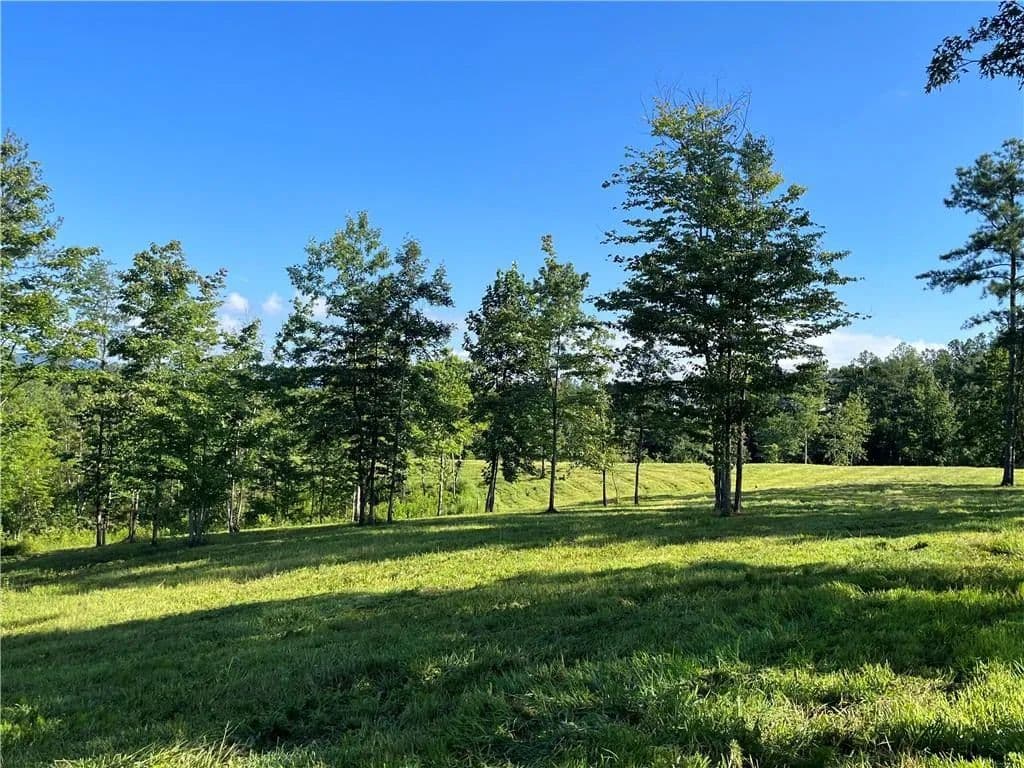 40 Acres of Land for Sale in Dahlonega, GA - land for sale