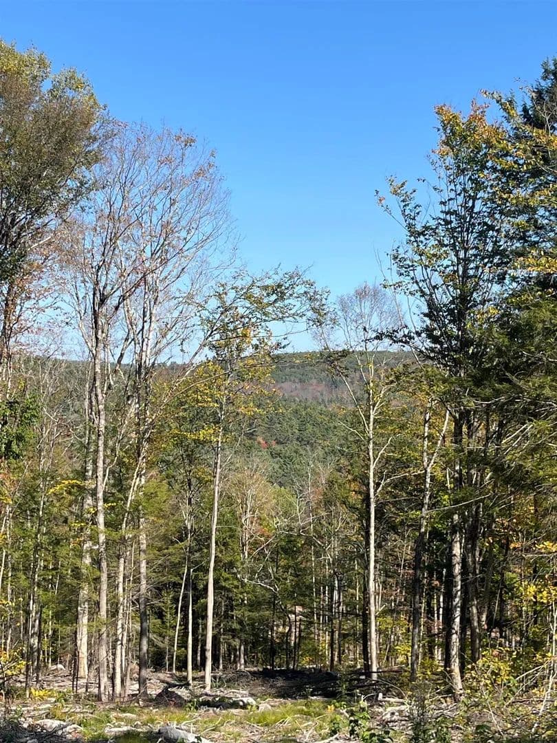 47 Acres of Land for Sale in Acworth, NH - Acworth, New Hampshire, 03601