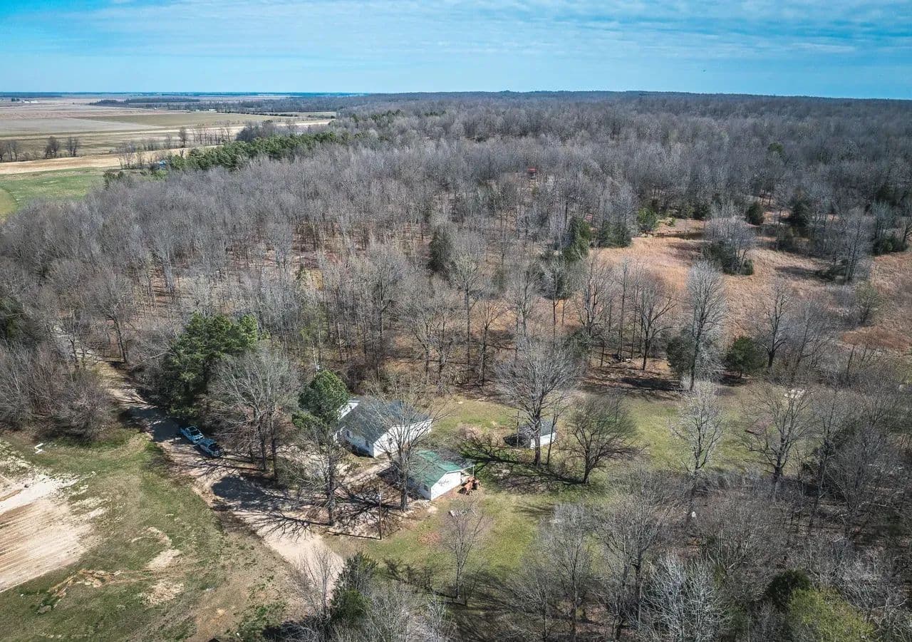 Ridge Line Homestead - Corning, Arkansas, 72422