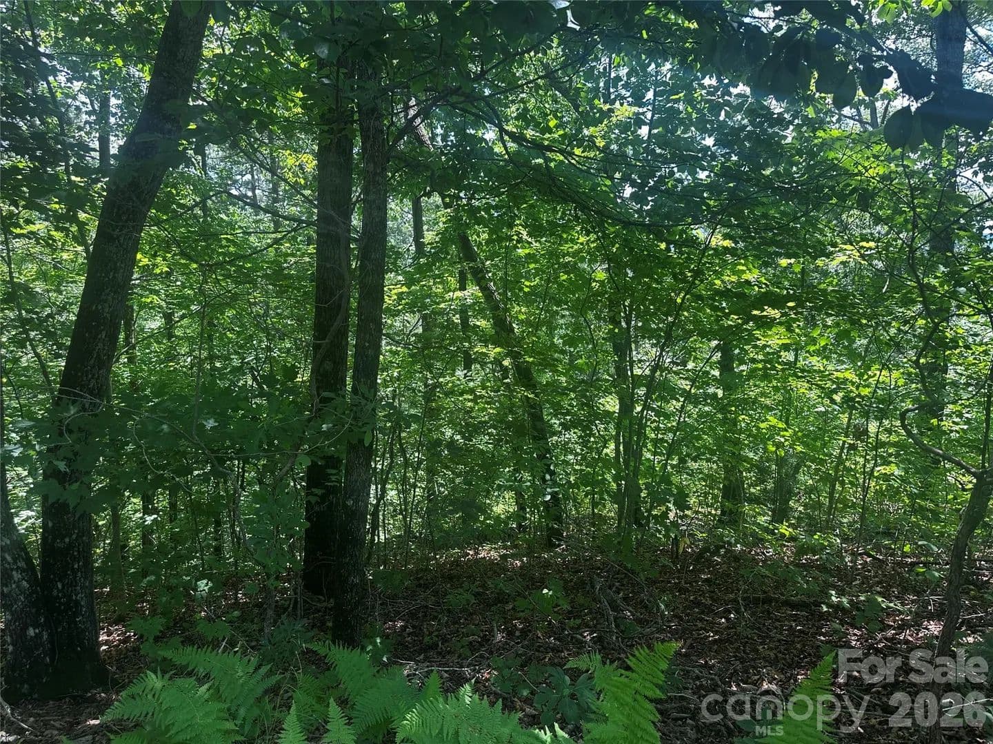 Property from 0 South Drive - KW - Lake Lure, North Carolina, 28746