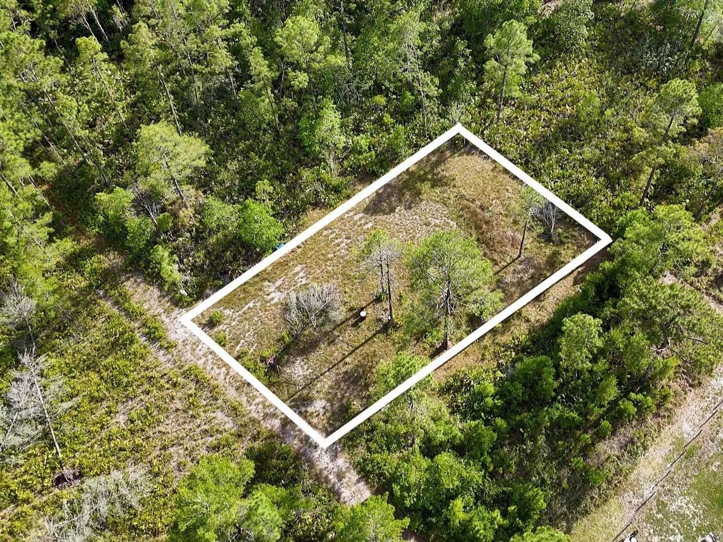Lots & Land-Other in PAISLEY - Paisley, Florida, 32767