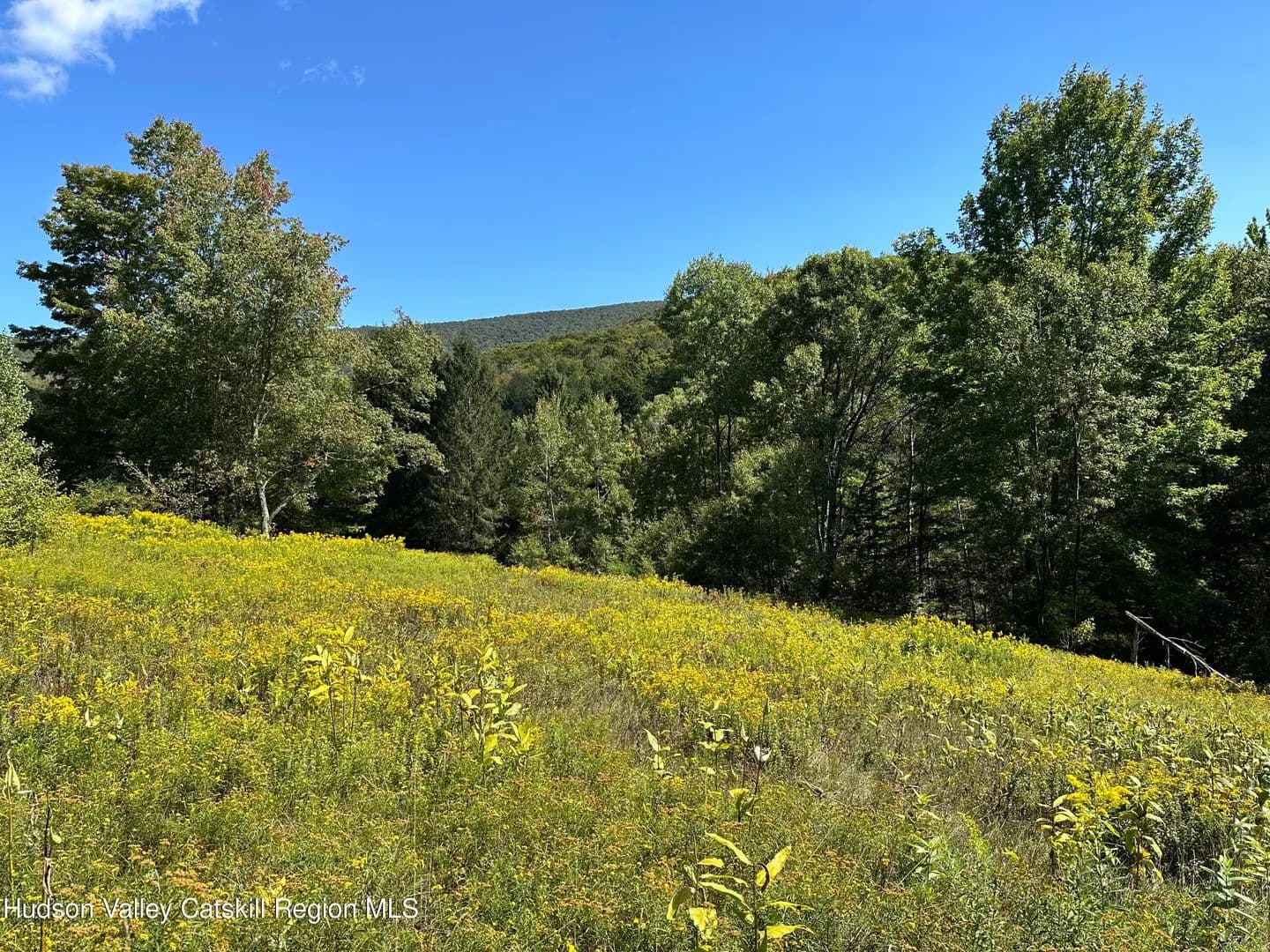 Property from Tbd Todd Mountain Road - KW - Arkville, New York, 12406
