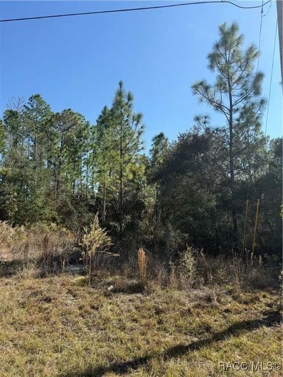 Lots & Land-Other in Citrus Springs - Citrus Springs, Florida, 34434