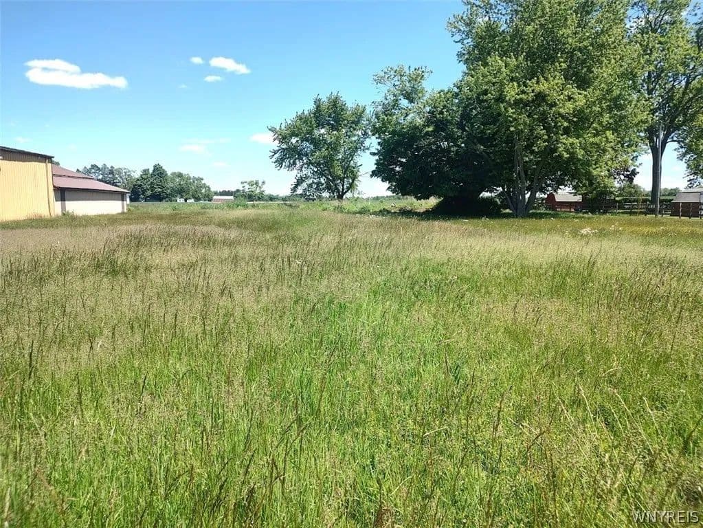 Property from Brant Reserv Road - KW - Brant, New York, 14027