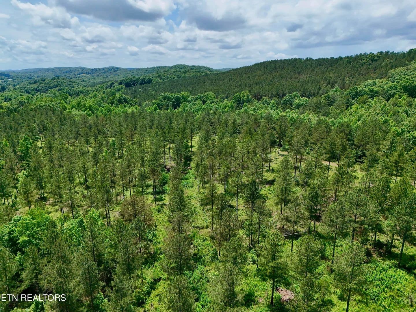 124.41 Acres of Land for Sale in Niota, Tennessee - Niota, Tennessee, 37826