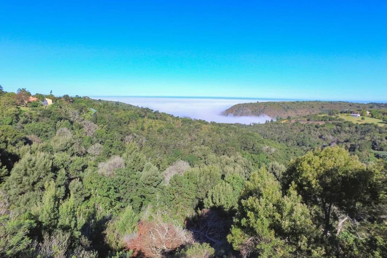 2000 Acres of Land for Sale in George, Western Cape - land for sale