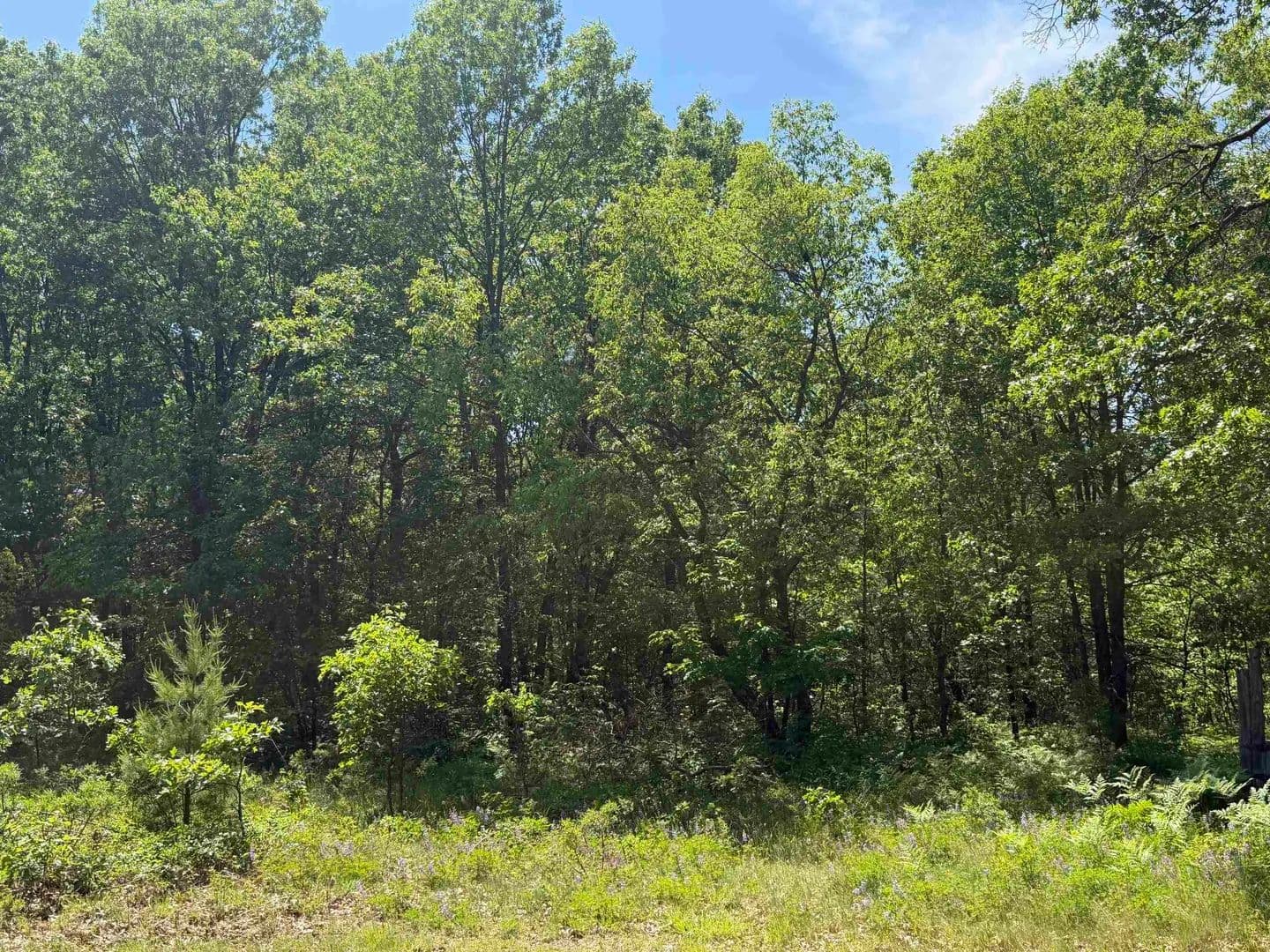 1.3 Acres of Land for Sale in Shawano, Wisconsin - Shawano, Wisconsin, 54166
