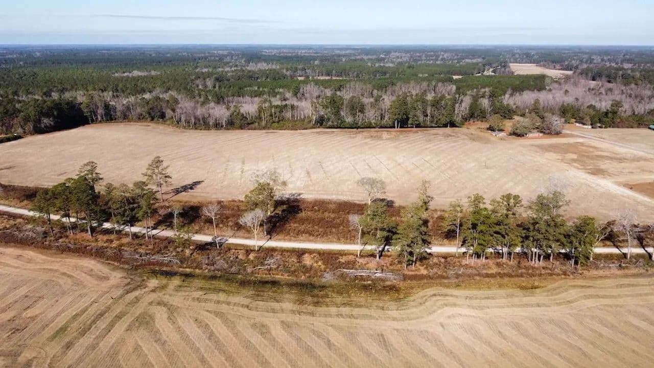72.48 acres of Farm Land For Sale in Horry County, SC! - Nichols, South Carolina, 29581