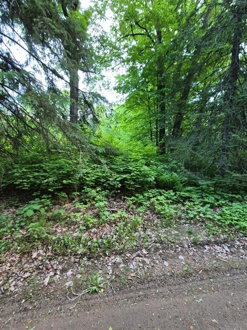 Property from 48458 197th Avenue - KW - Mcgregor, Minnesota, 55760